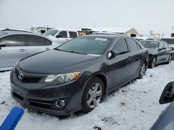 2012 Toyota Camry Base en venta en Brighton, CO