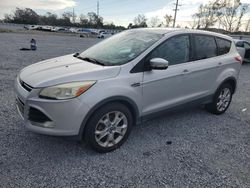 Ford Escape salvage cars for sale: 2013 Ford Escape SEL