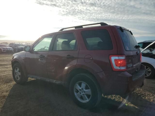 2011 Ford Escape XLT