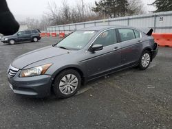 Honda Accord lx salvage cars for sale: 2011 Honda Accord LX