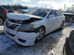 Toyota Camry se salvage cars for sale: 2010 Toyota Camry SE