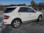 2011 Mercedes-Benz ML 350 Bluetec