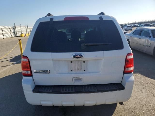 2010 Ford Escape XLT