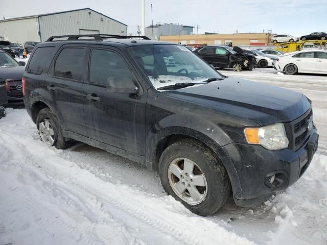 2012 Ford Escape XLT