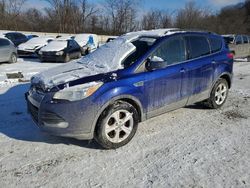 Salvage cars for sale from Copart Ellwood City, PA: 2016 Ford Escape SE