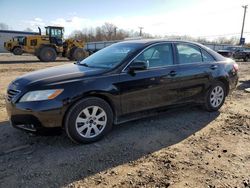 Salvage Cars with No Bids Yet For Sale at auction: 2009 Toyota Camry Base