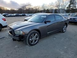 Salvage cars for sale at North Billerica, MA auction: 2014 Dodge Charger SXT