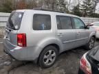 2014 Honda Pilot EXL