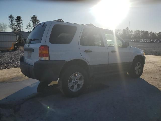 2005 Ford Escape XLT