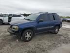 2002 Chevrolet Trailblazer