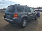 2004 Ford Escape XLT