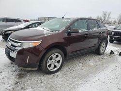 Ford salvage cars for sale: 2012 Ford Edge SEL