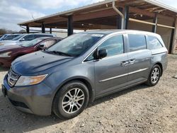 2012 Honda Odyssey EXL en venta en Tanner, AL