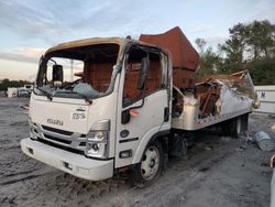 Salvage cars for sale from Copart Jacksonville, FL: 2023 Isuzu NRR