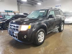 Salvage cars for sale at Elgin, IL auction: 2012 Ford Escape Limited