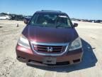 2009 Honda Odyssey EXL