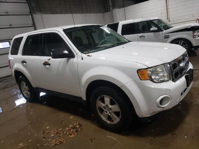 2011 Ford Escape XLS