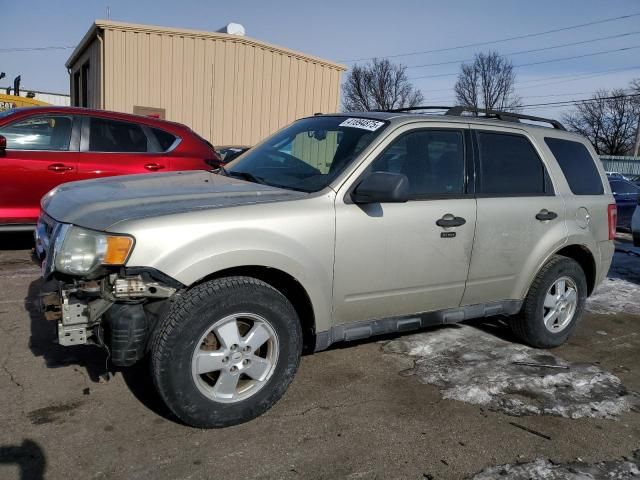 2010 Ford Escape XLT