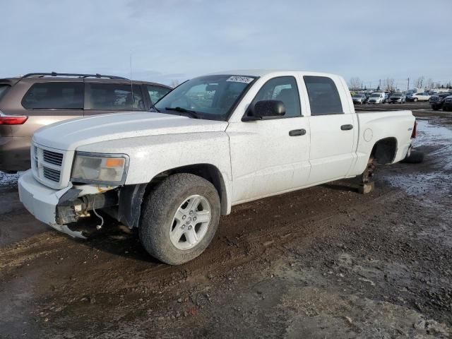 2011 Dodge Dakota SLT