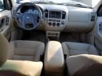 2004 Ford Escape XLT