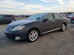 Salvage cars for sale from Copart Houston, TX: 2011 Lexus ES 350