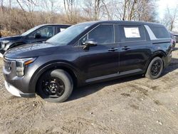 KIA Carnival l salvage cars for sale: 2025 KIA Carnival LX