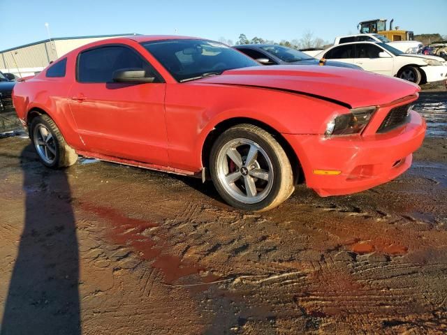 2010 Ford Mustang