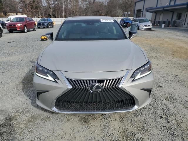 2019 Lexus ES 350