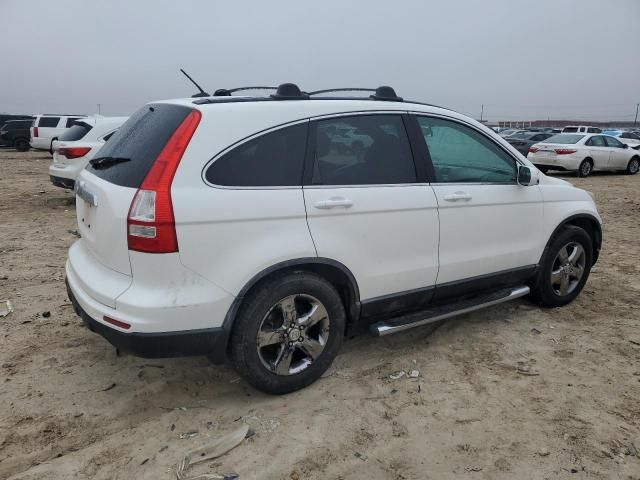 2010 Honda CR-V EXL