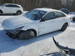 Salvage cars for sale at Cookstown, ON auction: 2023 Hyundai Elantra SEL