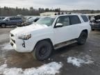 2024 Toyota 4runner SR5/SR5 Premium