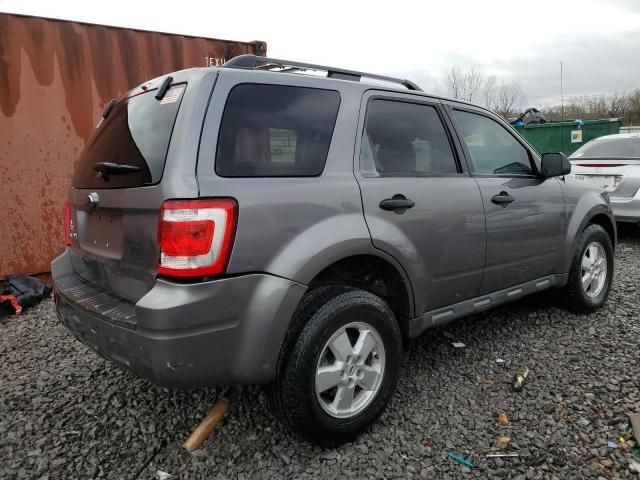 2009 Ford Escape XLT