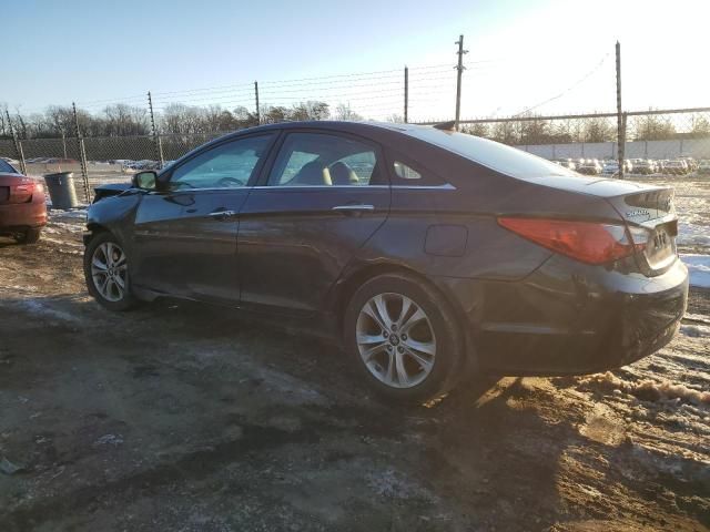 2013 Hyundai Sonata SE