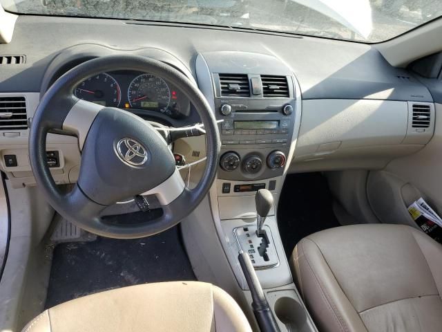 2011 Toyota Corolla Base