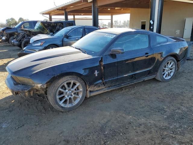 2010 Ford Mustang