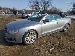 Salvage cars for sale at Baltimore, MD auction: 2011 Audi A5 Premium Plus