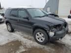 2005 Ford Escape XLT