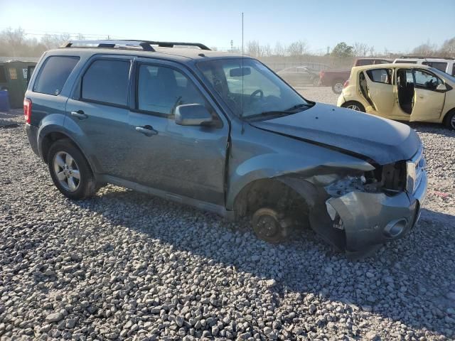 2010 Ford Escape Limited