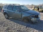 2010 Ford Escape Limited