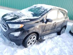 2021 Ford Ecosport SE en venta en Montreal Est, QC