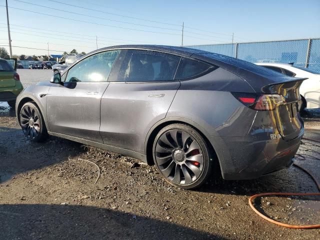 2023 Tesla Model Y