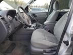 2005 Ford Escape XLT