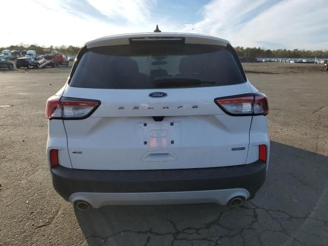 2020 Ford Escape SE Sport