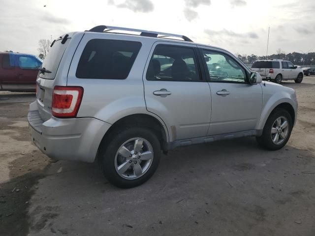 2010 Ford Escape Limited