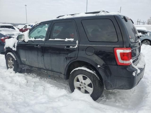 2008 Ford Escape XLT