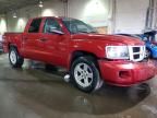 2008 Dodge Dakota SXT