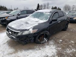 Honda Crosstour salvage cars for sale: 2012 Honda Crosstour EXL