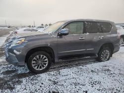 2015 Lexus GX 460 Premium en venta en Reno, NV