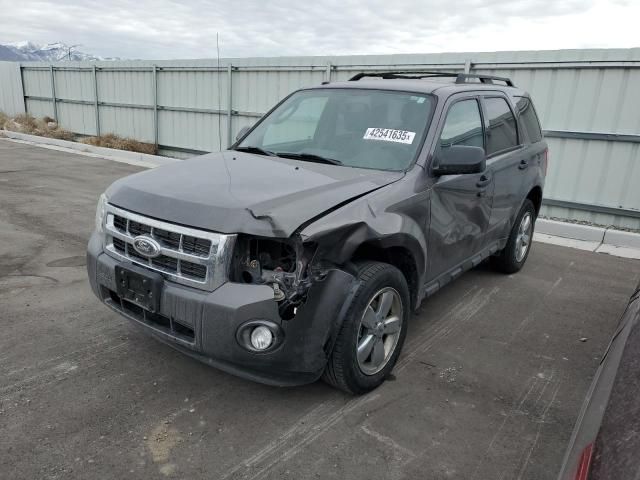 2012 Ford Escape XLT