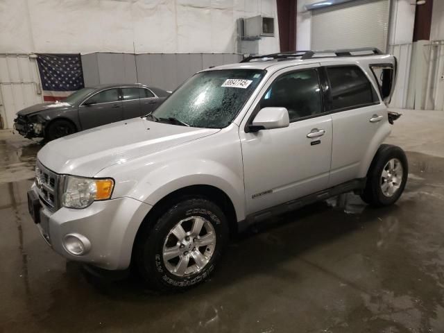 2011 Ford Escape Limited